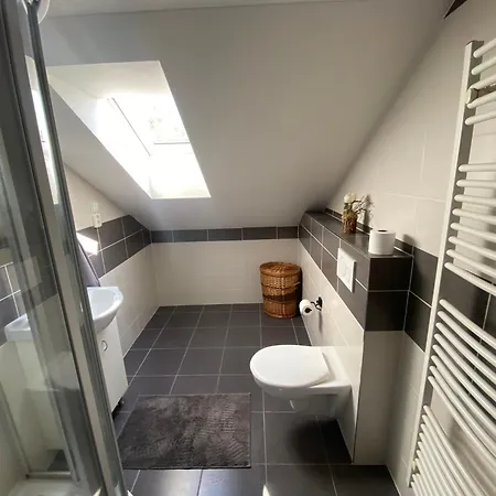 Cerny Tulipan - 6 Apartmán Plzeň