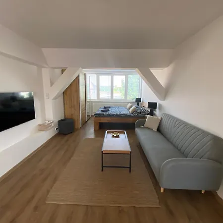 Apartamento černý Tulipán - 6 Plzeň