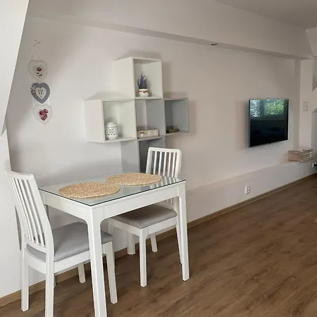 černý Tulipán - 6 Apartamento Plzeň