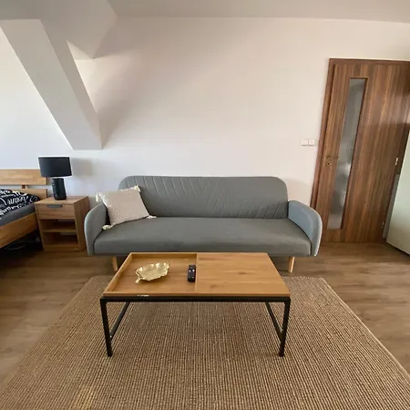 Appartement Cerny Tulipan - 6