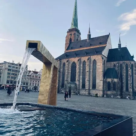 černý Tulipán - 6