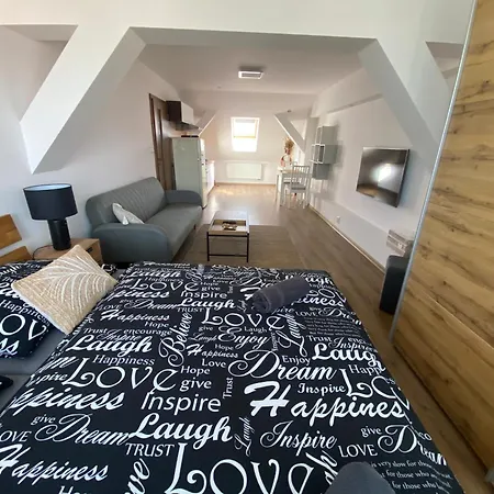 Appartement Cerny Tulipan - 6 Plzeň