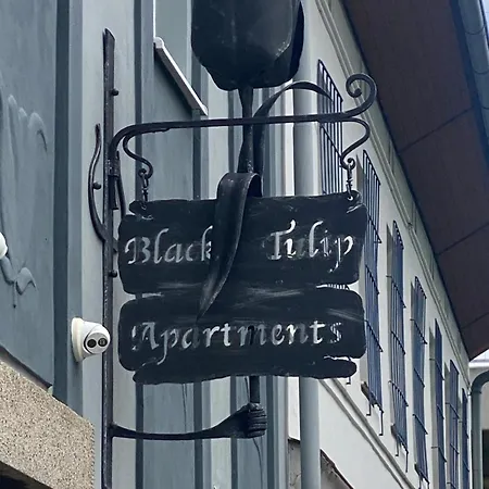 černý Tulipán - 6 * Plzeň