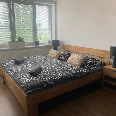 černý Tulipán - 6 * Plzeň