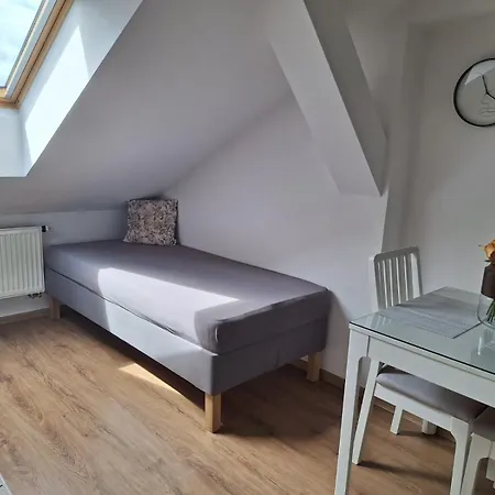Apartamento černý Tulipán - 6 Plzeň