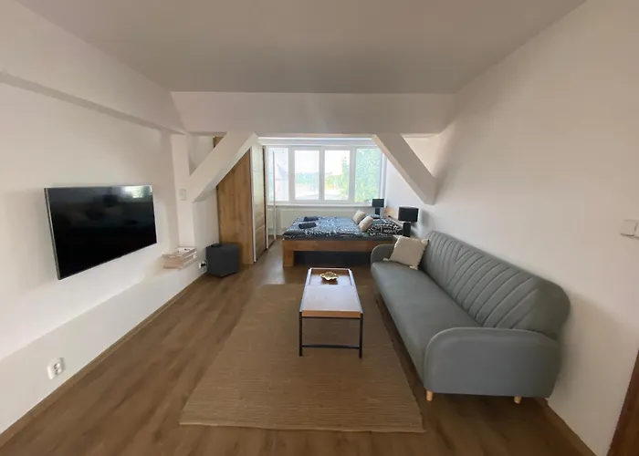 Appartement Cerny Tulipan - 6 Plzeň