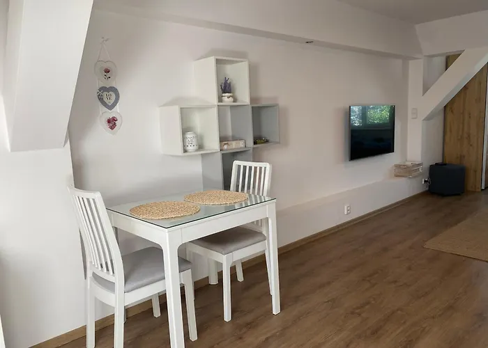 Cerny Tulipan - 6 Appartement Plzeň