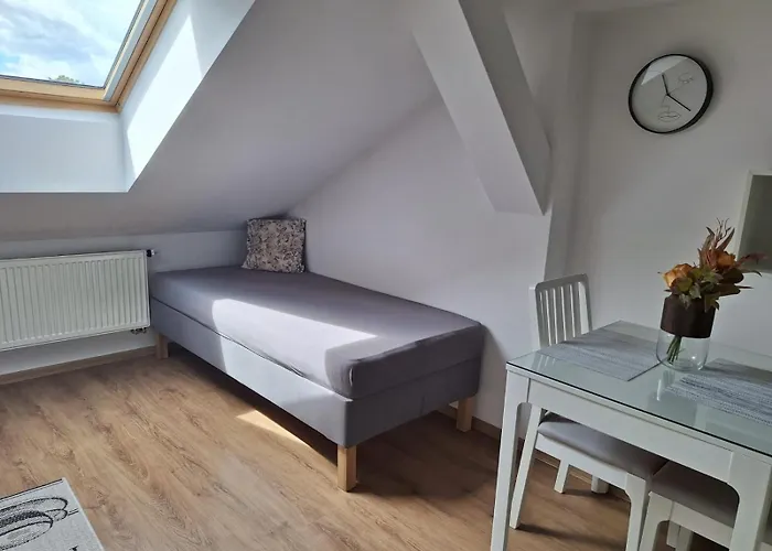 Appartement Cerny Tulipan - 6 Plzeň